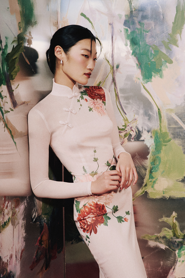 mesh oriental dress Mesh Oriental Print Column Dress