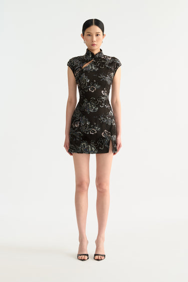 Devon Embellished Mini Dress