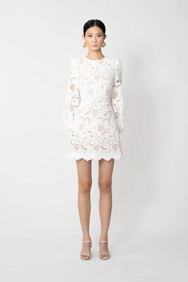Hilda Embroidered Lace Dress