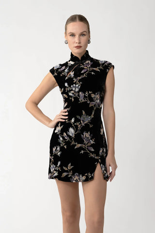 SAU LEE | Devon Velvet Mini Dress | Devon Velvet Mini Dress - Black / 00