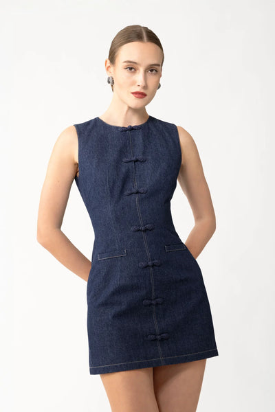 billie mini dress Billie Denim Mini Dress – SAU LEE