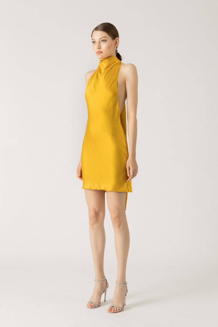 Penny Backless Satin Mini Dress